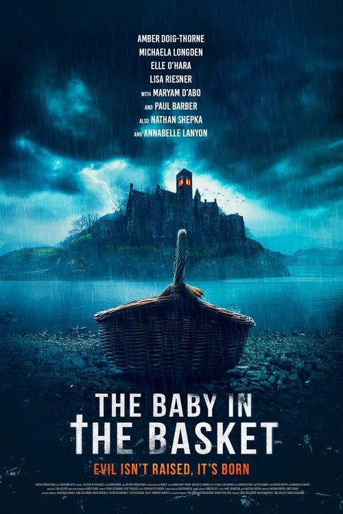 The Baby in the Basket movie review - mp4movies