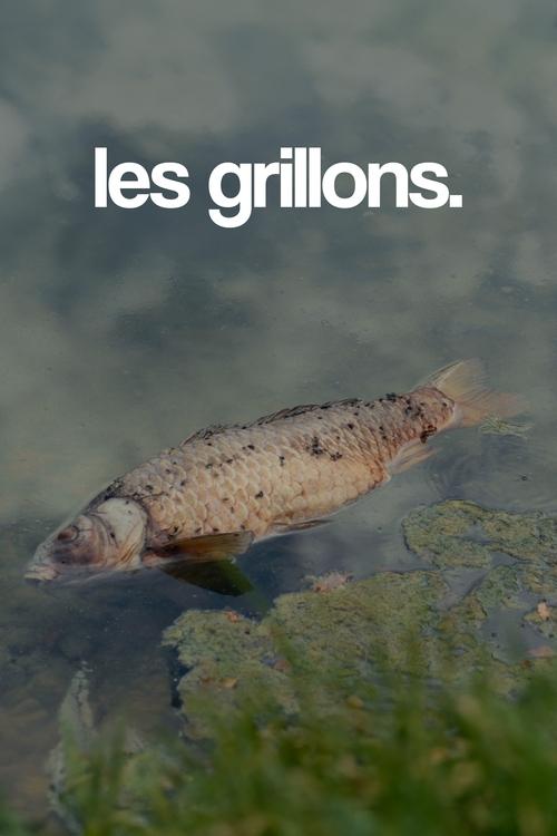 les grillons. movie review - mp4movies