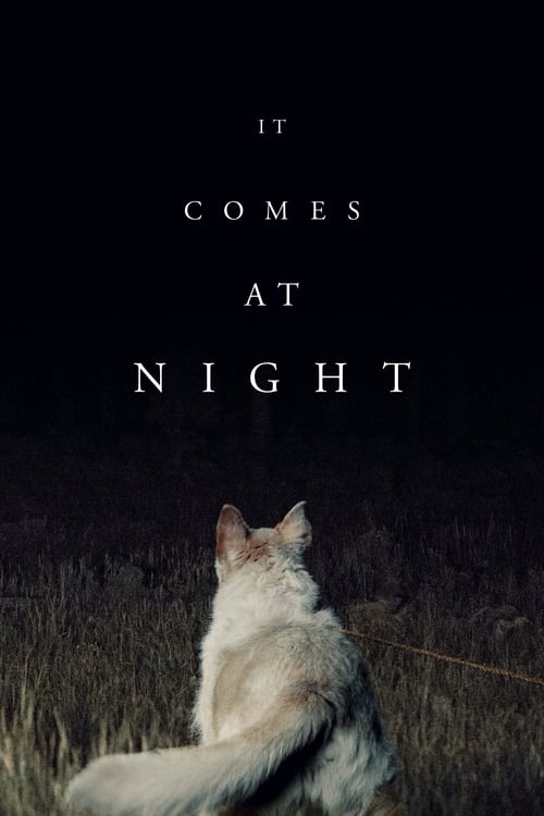 It Comes at Night movie review - mp4movies