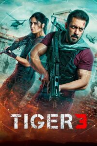 Tiger 3 Movie mp4movies