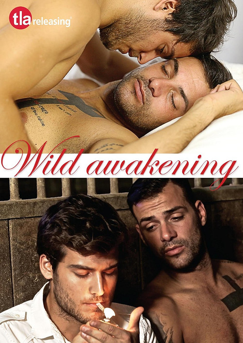 Wild Awakening movie review - mp4movies