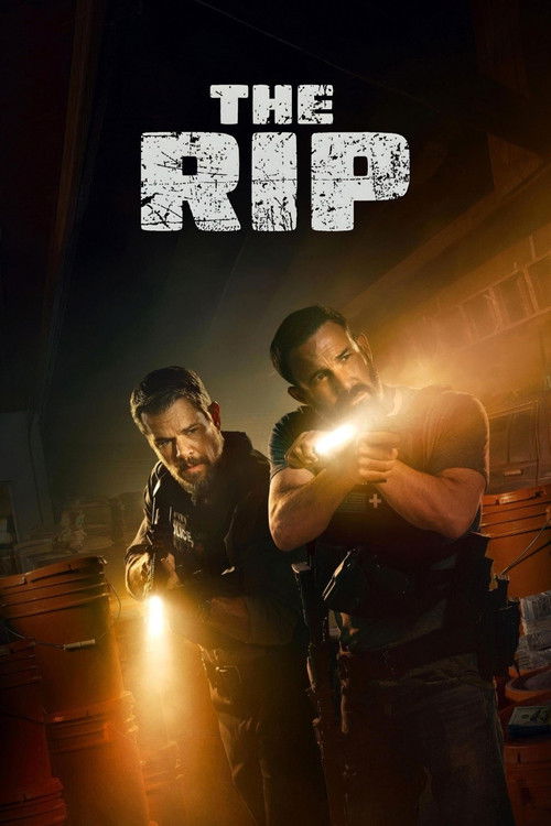 The Rip movie review - mp4movies