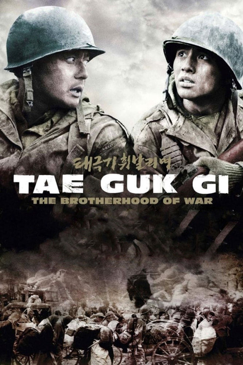 Tae Guk Gi: The Brotherhood of War movie review - mp4movies