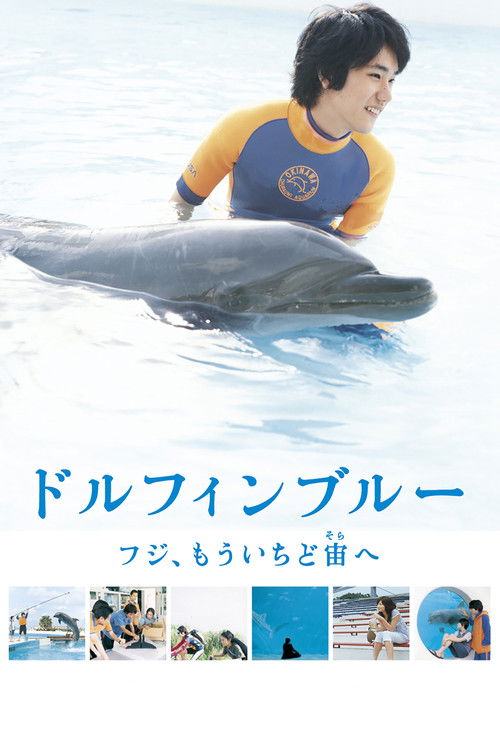 Dolphin Blue: Soar Again, Fuji movie review - mp4movies