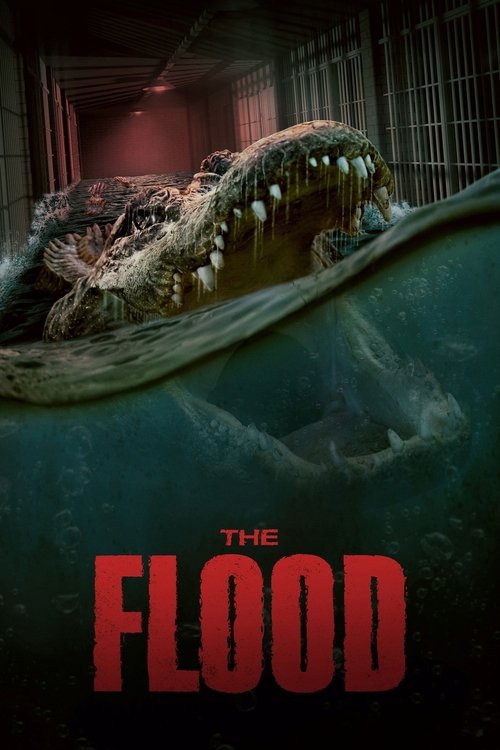 The Flood movie review - mp4movies