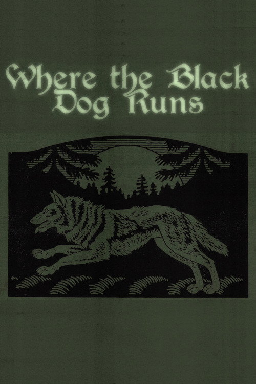 Where the Black Dog Runs movie review - mp4movies
