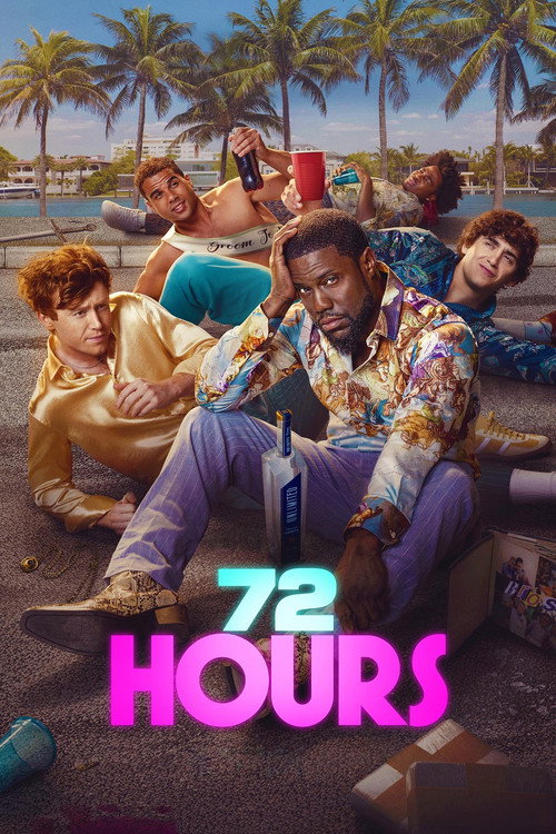 72 HOURS movie review - mp4movies